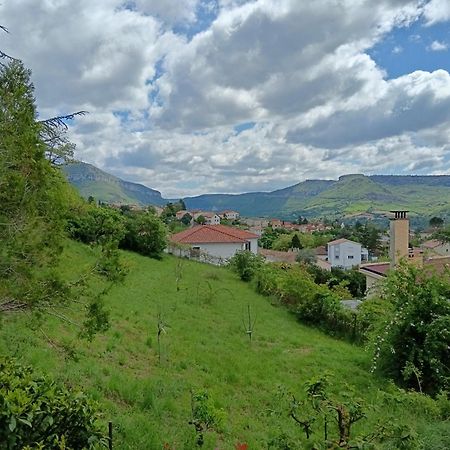 Gite Des Grands Causses Millau Buitenkant foto